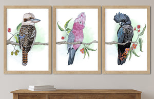 Australian native birds watercolor prints, Choose your own bird, Kookaburra, Magpie, Lorikeet, Red-Taailed Black Cockatoo, Cockatoo, Galah