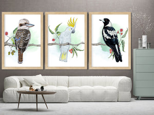 Australian native birds watercolor prints, Choose your own bird, Kookaburra, Magpie, Lorikeet, Red-Taailed Black Cockatoo, Cockatoo, Galah