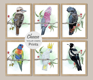 Australian native birds watercolor prints, Choose your own bird, Kookaburra, Magpie, Lorikeet, Red-Taailed Black Cockatoo, Cockatoo, Galah